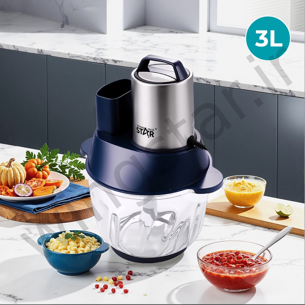 خردکن وینینگ استار مدل ST-5580